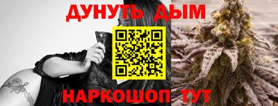 индика Беслан